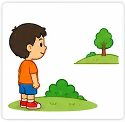 Far and Near for Class 1